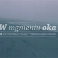 W mgnieniu oka